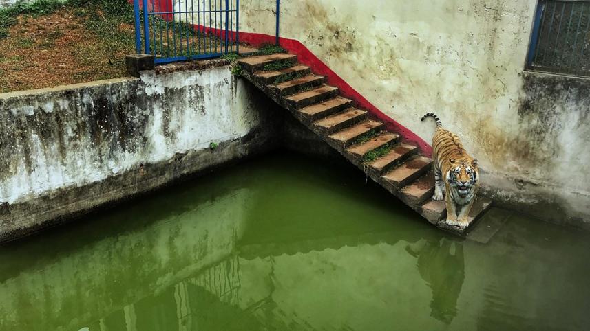 mirpur_zoo_1.jpg