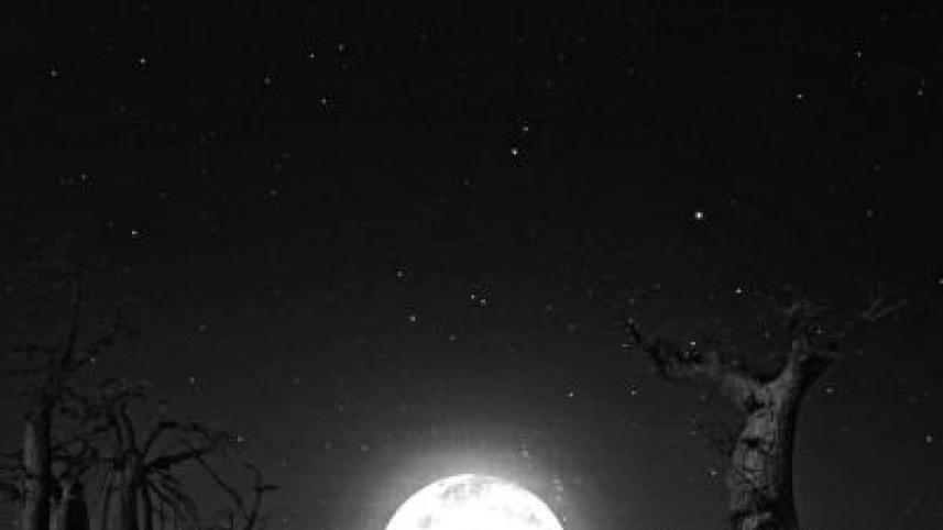 moon.jpg