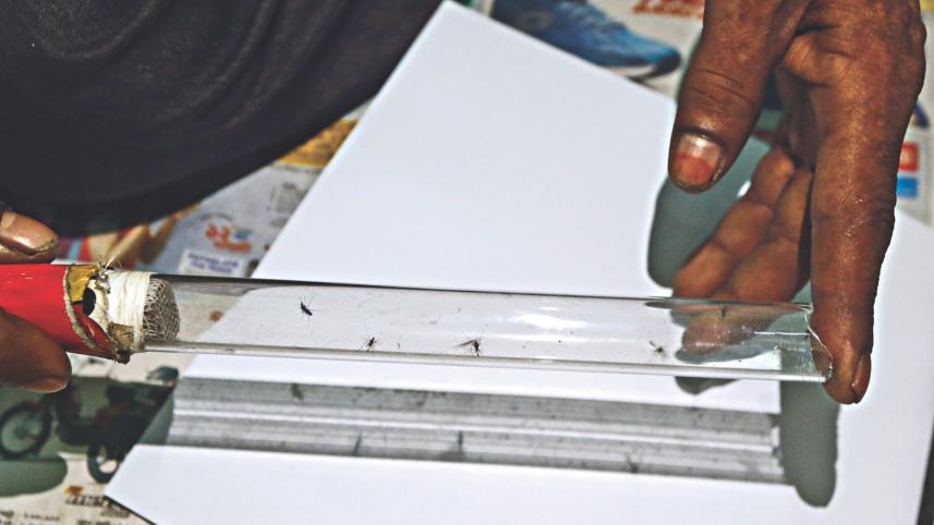 Mosquito menace.jpg