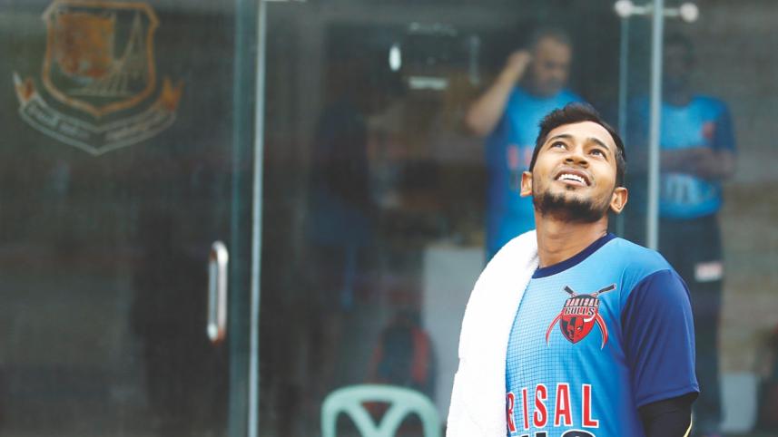 mushy bulls.jpg