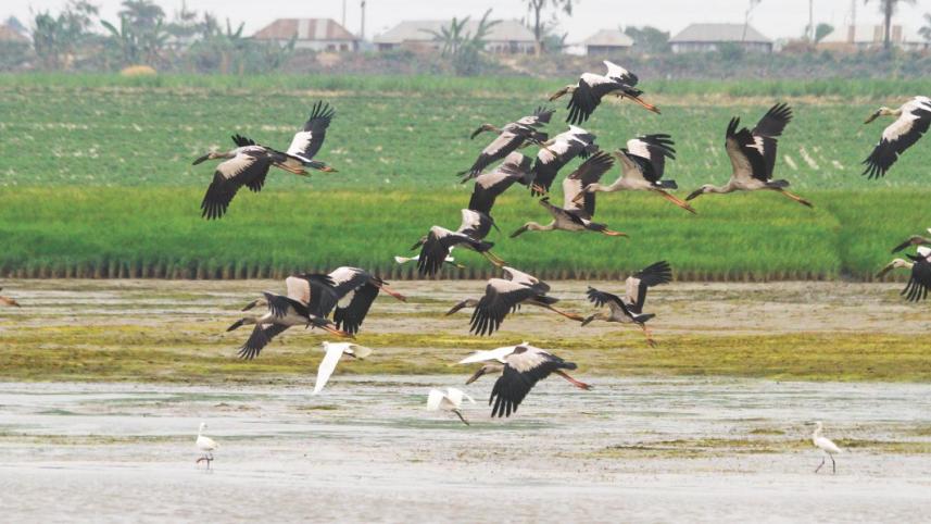 Northern Bangladesh