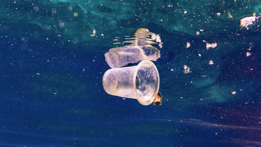 ocean plastic.JPG