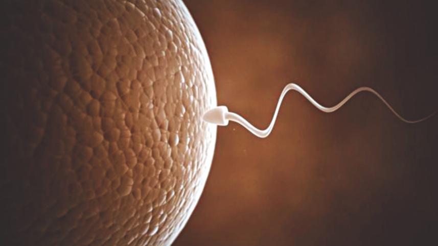 offspring.jpg