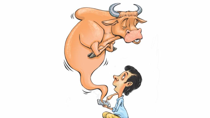 online cattle.jpg