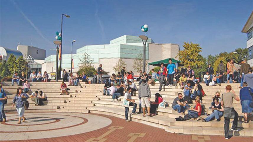 OVERSEAS STUDY LINK