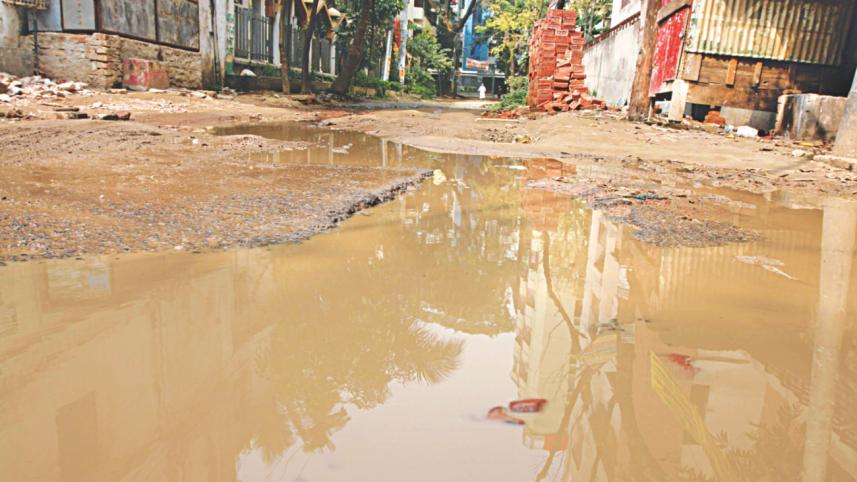 pallabi road.jpg