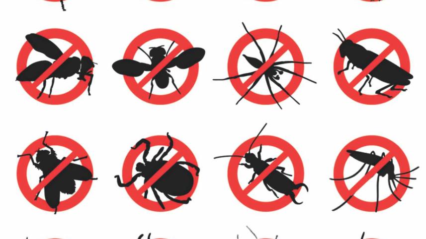 Pest control