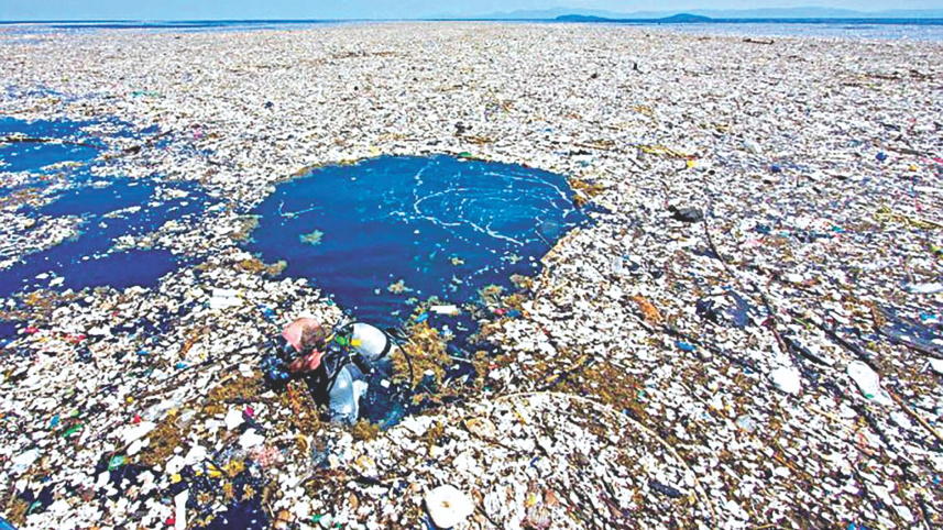 pLASTIC.jpg