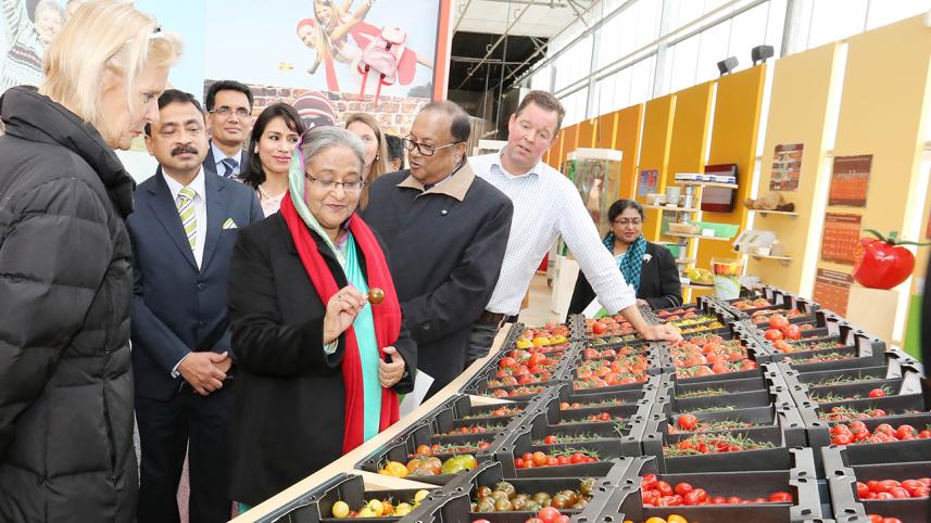 pm Netherlands pmo
