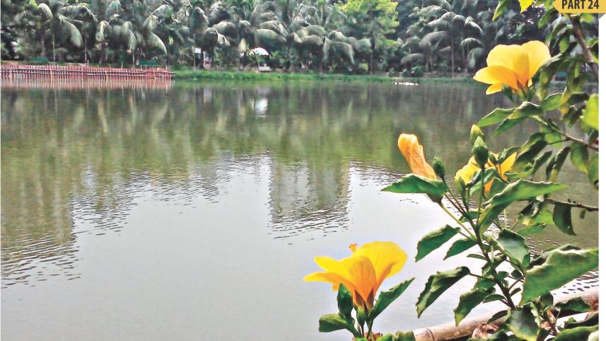 pond.jpg