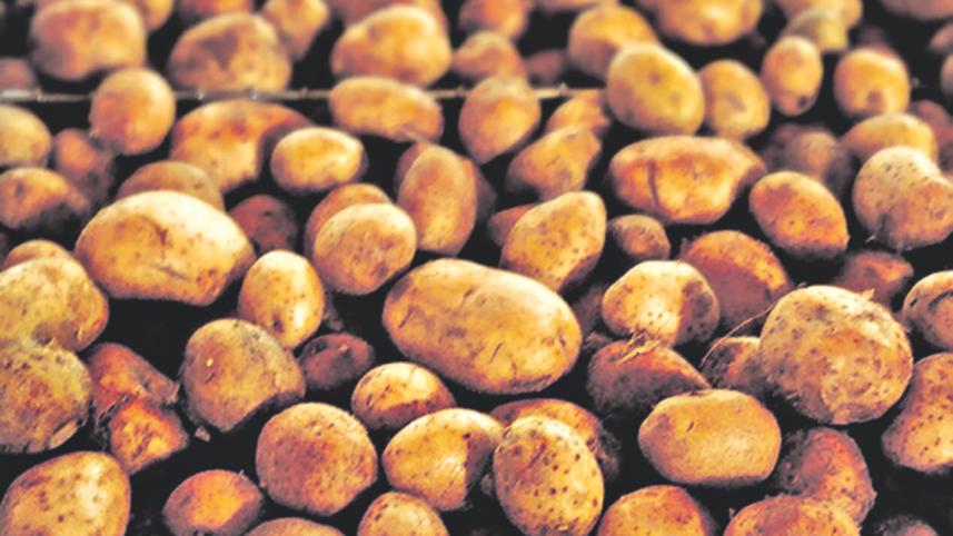 potato 1.jpg