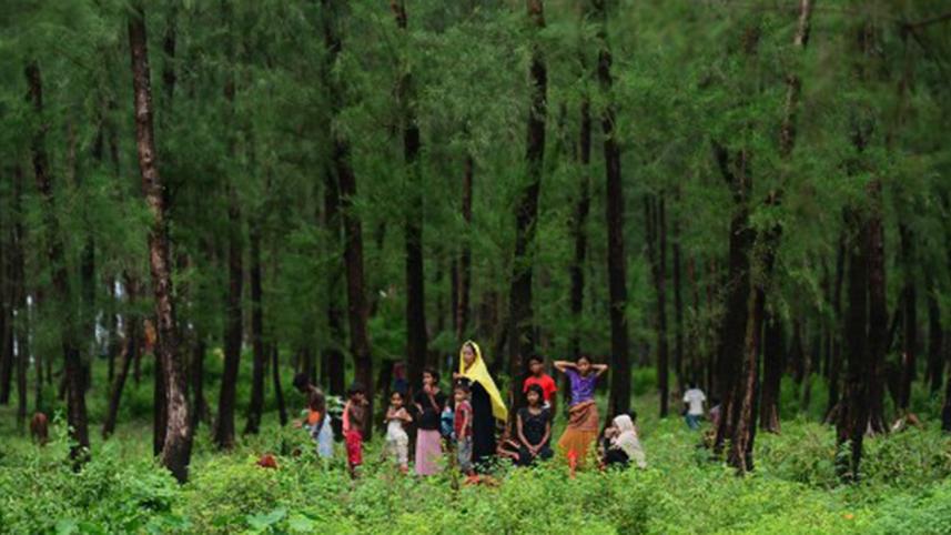 Rohingya-1.jpg