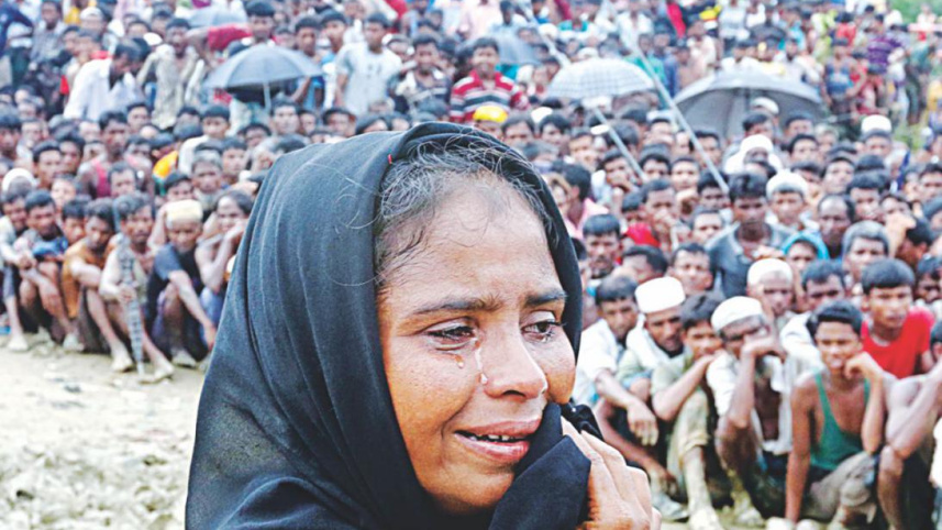 Rohingya