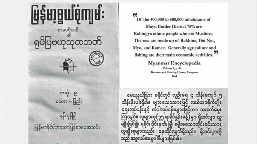 Rohingya Genocide