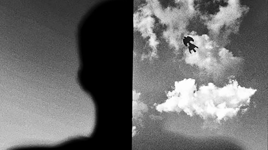 shadow and sky.jpg