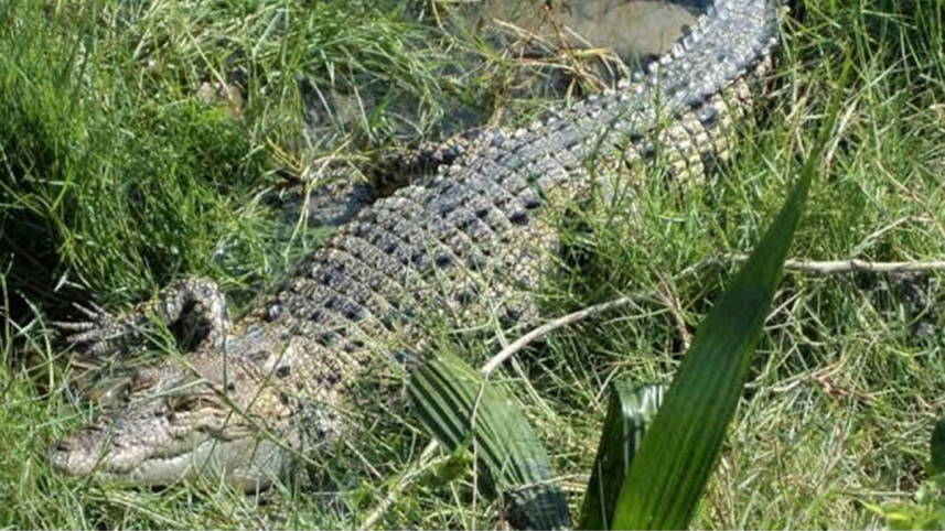 sonakata-ecopark.jpg
