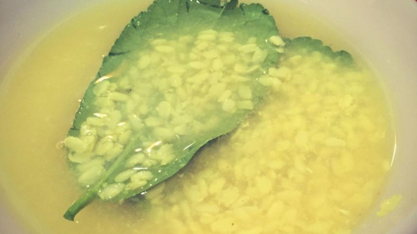 Soup