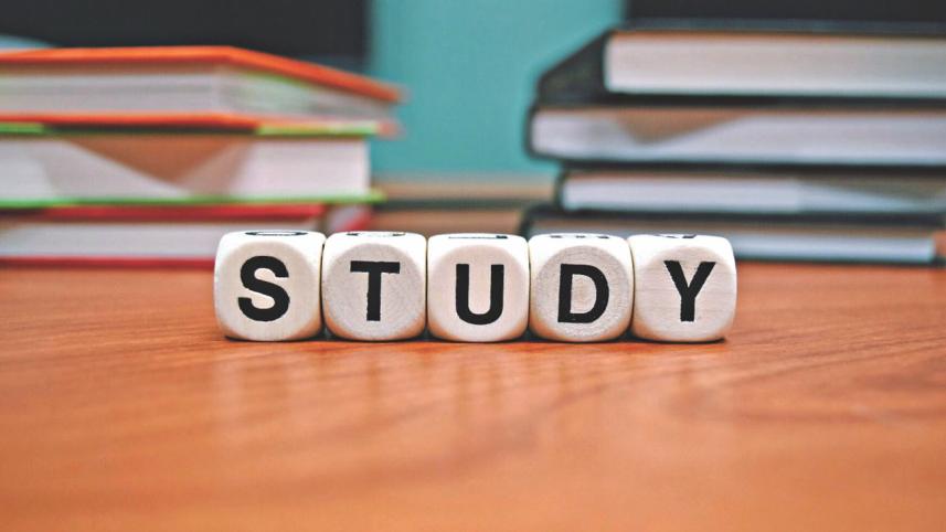study.jpg