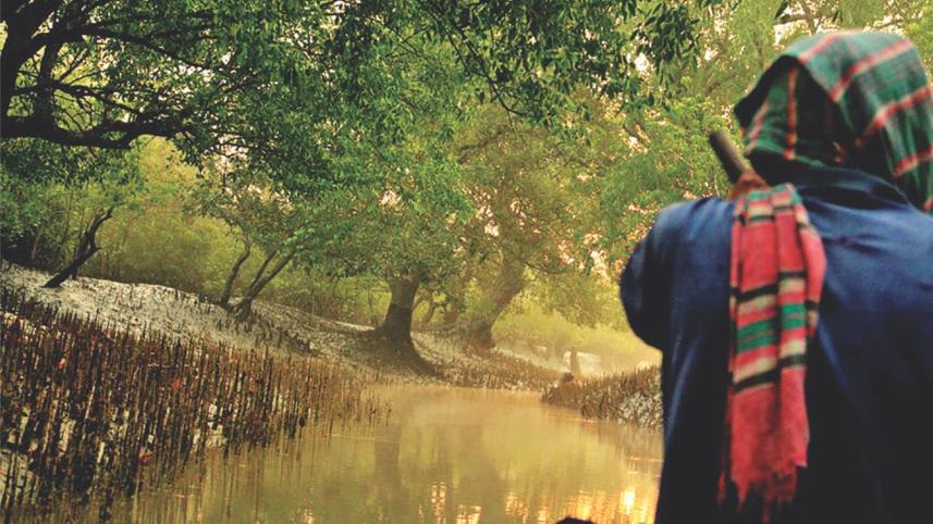 Sundarbans