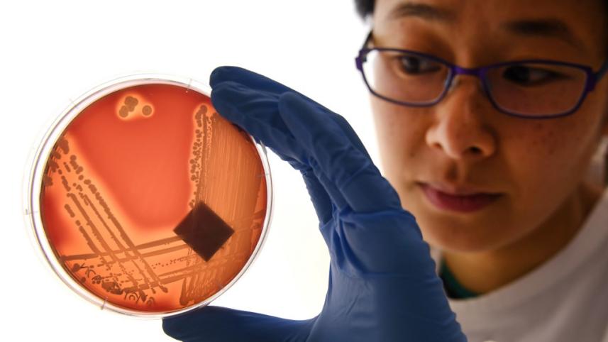 Superbug.jpg