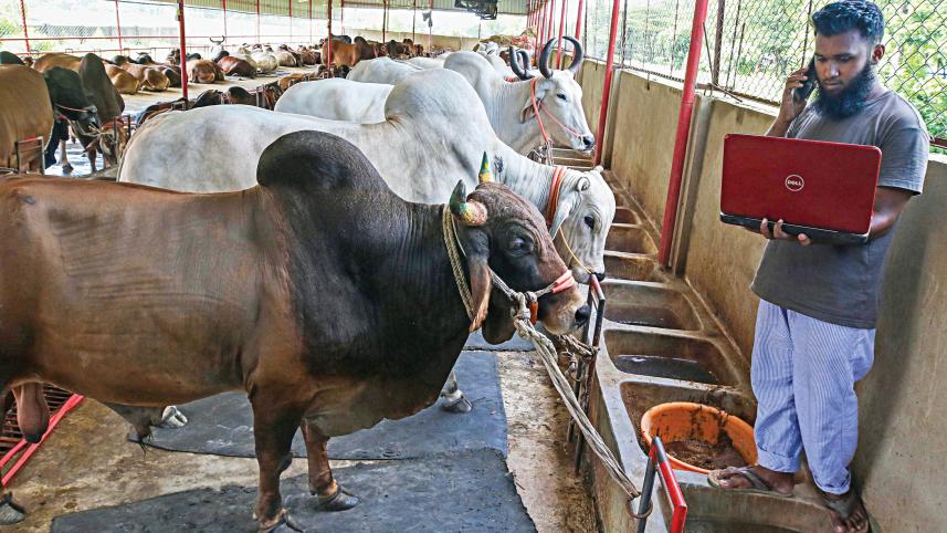 Sylhet-online-qurbanir-Haat.jpg