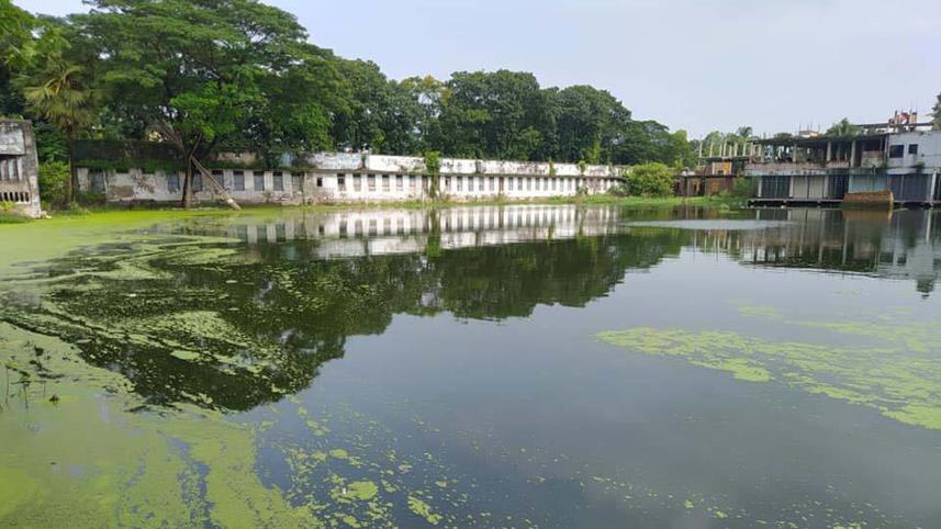 tangail.jpg