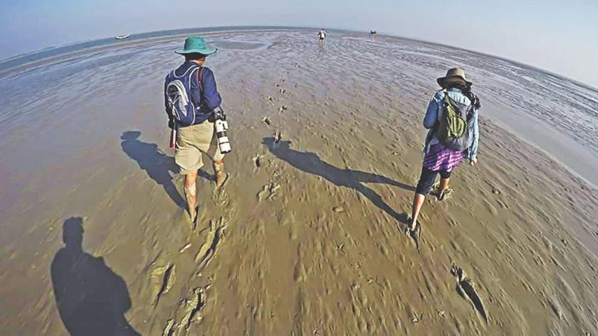 Tanguar Haor