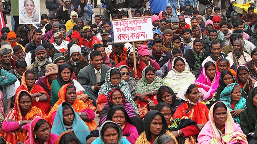tea-workers-out-labour-law.jpg