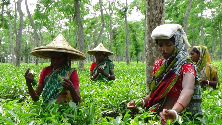 Tea Workers Day.jpg