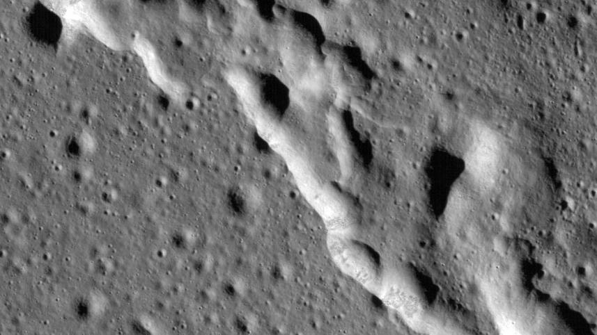 The moon web.jpg