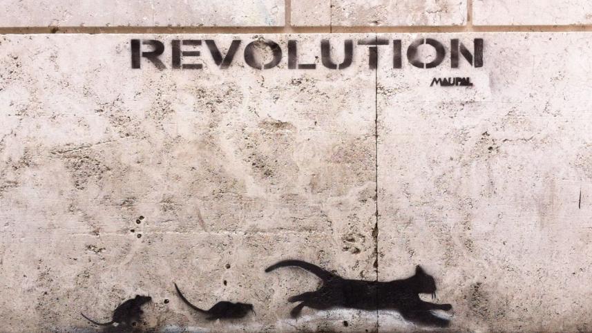 The Rebel