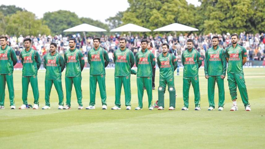 THE TIGERS IN 2017