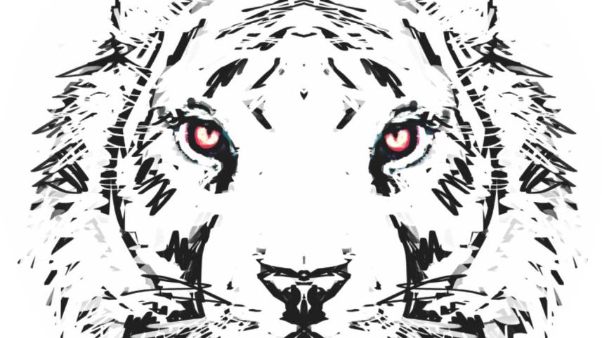 Tiger Belal