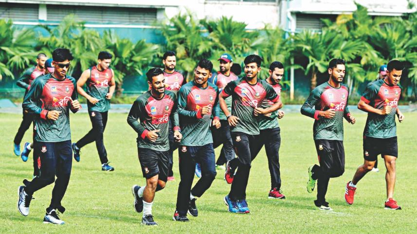 tigers train up.jpg