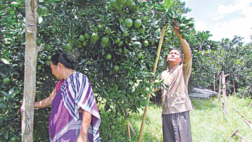 Trishul Chakma.jpg