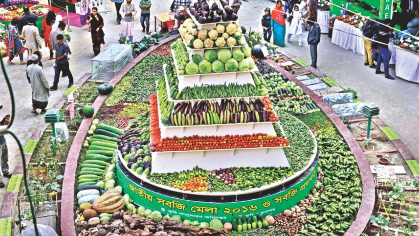 Vegetable fair.JPG