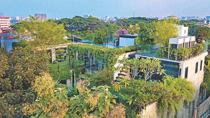 view.jpg