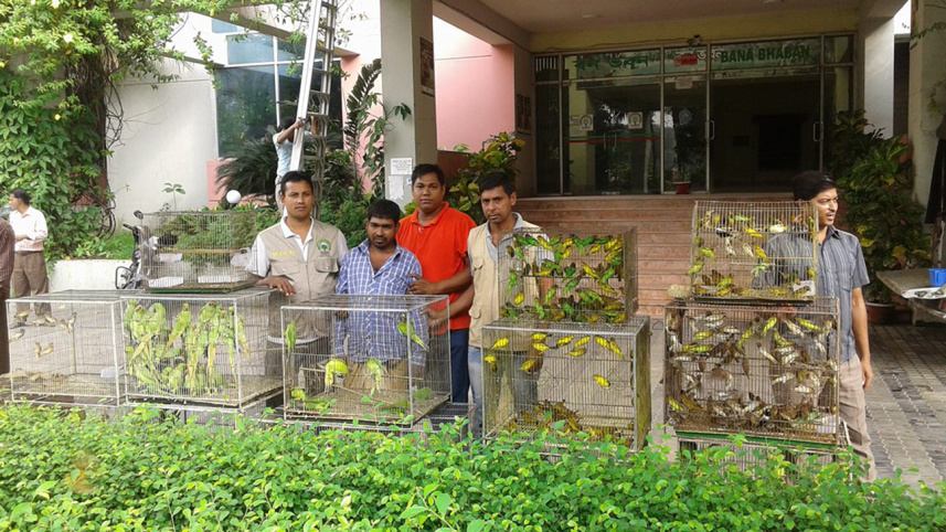 WCCU-BirdsWB.jpg
