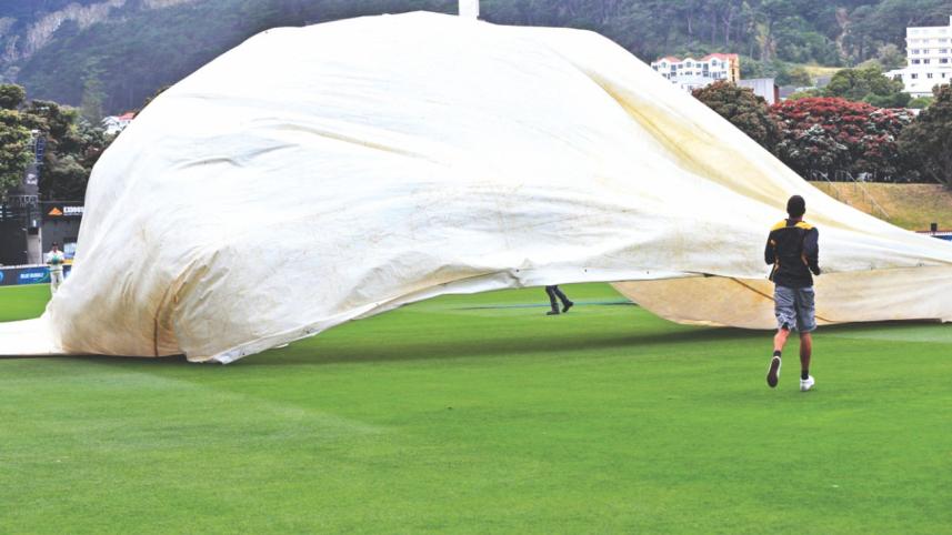wellington test.jpg