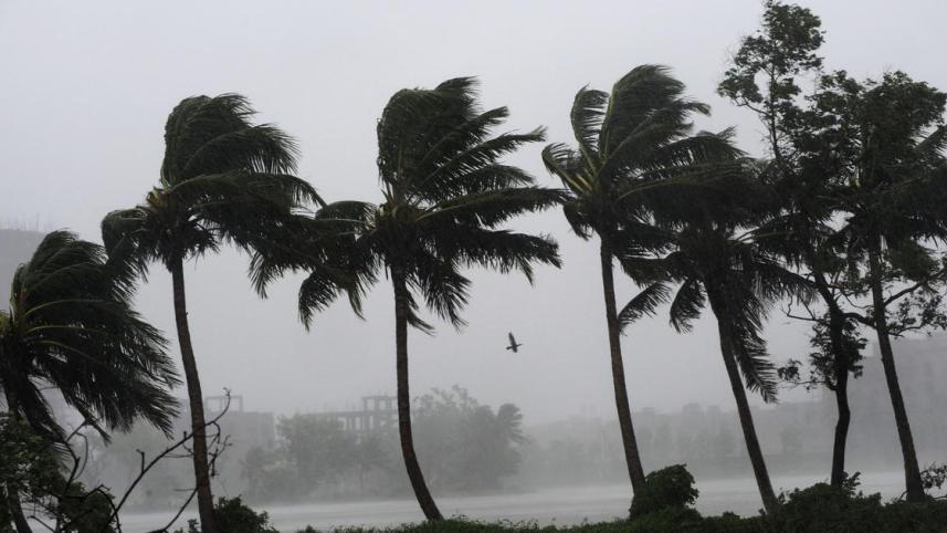 Cyclonic Bulbul