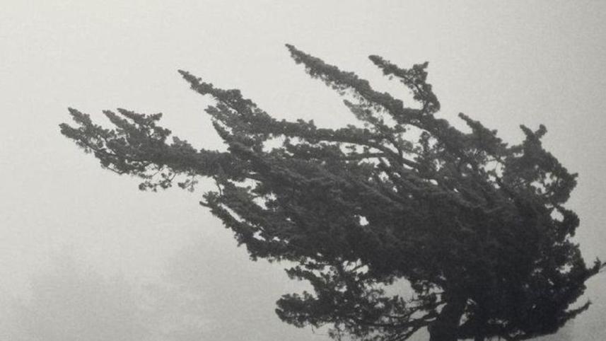 Wind of change.jpg