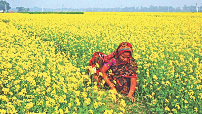 woman worker