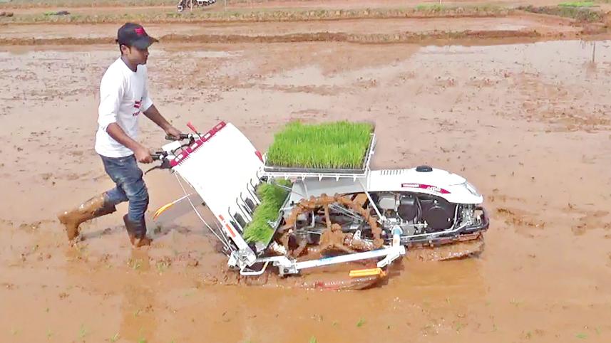 Yanmar-rice-transplanter.jpg
