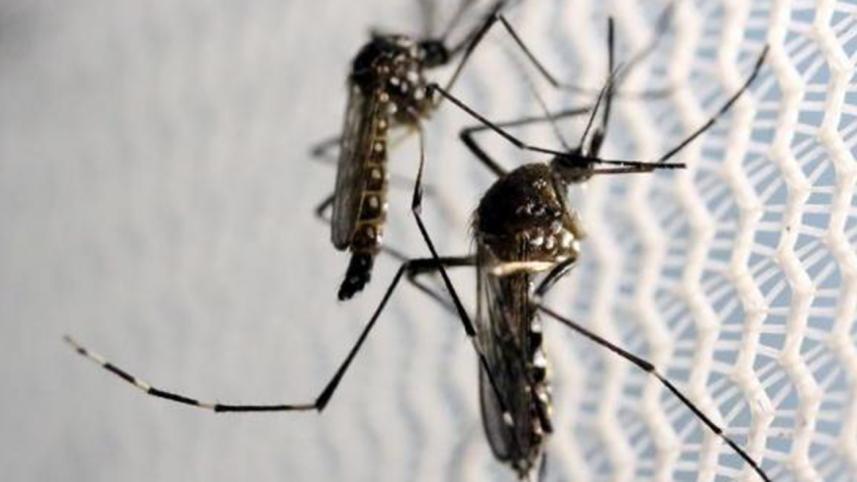 Zika virus cases in Bangladesh