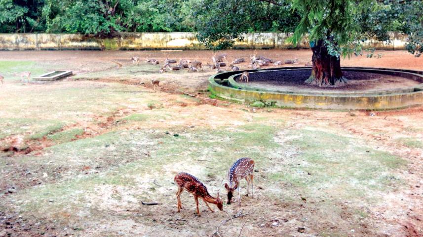 Zoo1.jpg