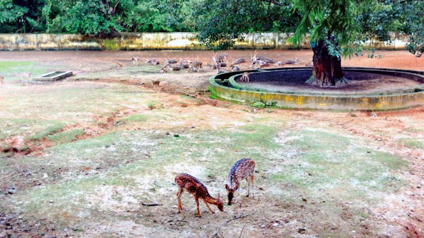 zoo1.jpg