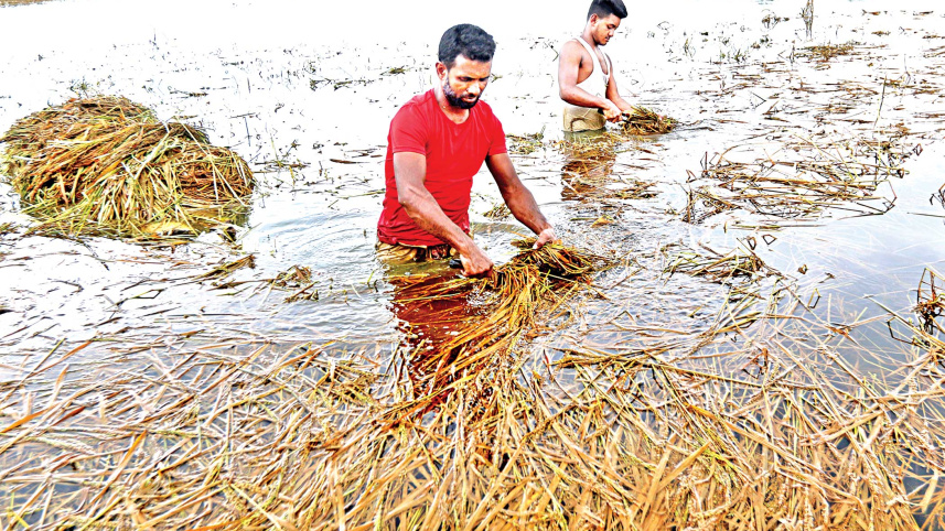 sylhet.jpg