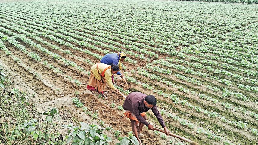 agriculture.jpg