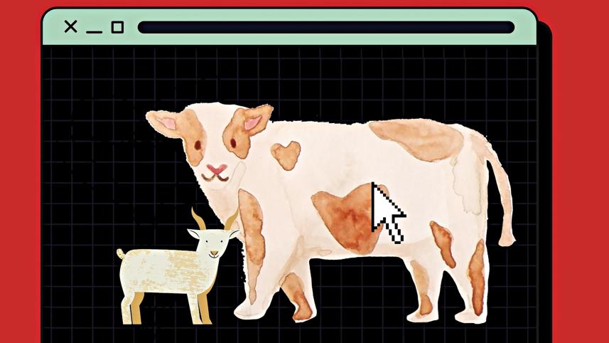 cow.jpg
