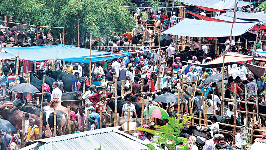people-gather-in-cattle-maket1.jpg